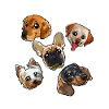 Future Veterinarian Aspiring Vets Dogs