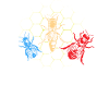 Know your hive, beekeeper, beekeeping