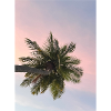 Summer Breeze