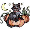 Autumn Black Cat
