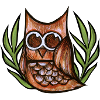 Cute Owl
