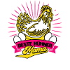 Huhn Hühner Flüstererin