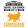Samojede Engel Schlittenhund Samojeden