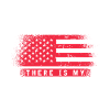 US patriotic quotes, patriot, patriots