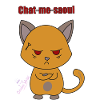 Chat me saoul