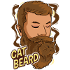 Cat Beard