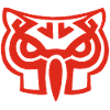 Red owl head