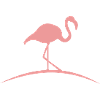 Flamingoo