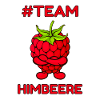 Himbeere Gesund Obst Design