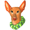 portrait dog podenco