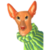 podenco