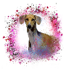 Azawakh, dog, graffiti,pink,painting,greyhound