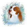 Canaan, dog, graffiti,beige,painting,blue