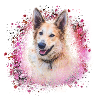 Chinook, dog, graffiti,pink,painting,