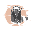 Cute Raccoon