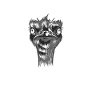 Funny Ostrich Facts
