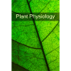 Plant Physiology