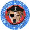 LE TERRIER PIRATE