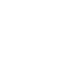 Dolphin School