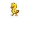 Funny Duck Lover Duck Whisperer