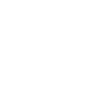 Geometric points in wing shape