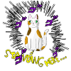 Standing cat