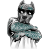 Chien
