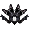 Abstract dog