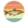 Wild salmon