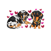 Dackel Hund Dachshund Geschenk