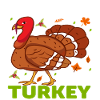 I ́m the cute Turkey