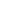 Leopard Gecko Christmas - Animal