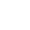 Iguana Hunter - Animal