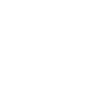 Leopard Gecko Mom - Animal