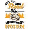 Opossum Geschenk Possum Beutelratte