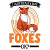 J’aime beaucoup Foxes Rotfuchs Fuchs