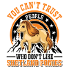 Shetland Pony Gift Shetty