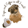 Tête de chien carlin drôle