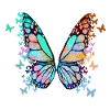 schmetterling ,bunt,graffiti,malerei