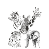 Tigre-Panthère-zèbre-girafe-éléphant
