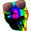 Turtle Sunglasses Turtles Rainbow