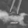 AIRMANSHIP