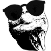 Turtle Sunglasses Turtles black white