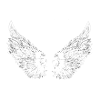 white wings,wings,angelwings,angels