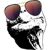 Turtle Sunglasses Turtles black white