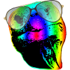 Turtle Sunglasses Turtles Rainbow