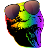 Turtle Sunglasses Turtles Rainbow