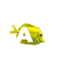 Yellow Tang Marine Fish Keeper