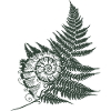Fern Snail Shell Fern Leaf Autumn