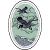 Seabirds
